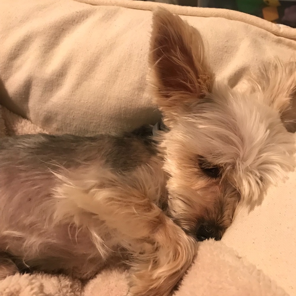 Meet your Posher, Ana